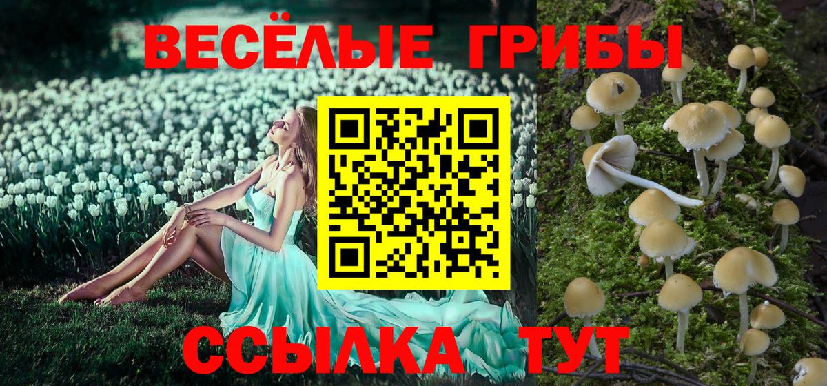 Псилоцибиновые грибы MAGIC MUSHROOMS  Вход с VPN  Мелеуз 